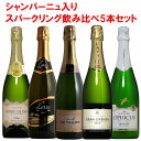 シャンパーニュ 入り！スパークリング ワイン白 5本セット！ ワイン セット wine【送料無料】 ギフト 母の日 750ML