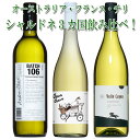 旨みびっしり シャルドネ 3品 オーストラリア・フランス・チリ 勇壮ミネラル飲み比べ 3本 セット ギフト 御中元 750ML