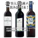 大人気品種メルロ飲み比べ！赤ワイン3本セットワイン 赤 赤ワイン ワインセット セット ギフト 母の日 750ML