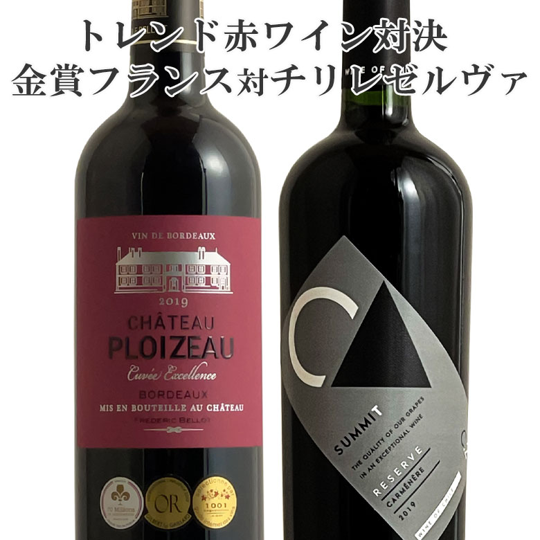 ワイン飲み比べセット フランス金賞対チリ！飲み比べ赤2本セット【送料無料】　ギフト 母の日　ワイン　赤ワイン　金賞　750ML