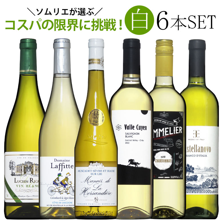 ソムリエ厳選白ワイン6本飲み比べ 送料無料 白 ワインセット wine ギフト 父の日 プレゼント ワイン 白ワイン 750ML r-