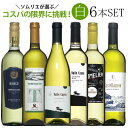 ワイン飲み比べセット ソムリエ厳選白ワイン6本飲み比べ 送料無料 白 ワインセット wine ギフト 母の日 プレゼント ワイン 白ワイン 750ML r-