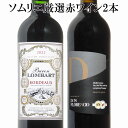 ソムリエ厳選 金賞入り 赤ワイン飲み比べ 2本セット　ギフト ホワイトデー　ワイン　赤ワイン　750ML