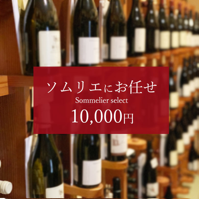 ソムリエにお任せ 　ワイン ギフト 父の日 プレゼント ワインセット オリジナル コーディネート 750ML