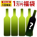 毎月1日限定販売！ACグラーヴ1万円福袋！5本セット ワインセット 送料無料 フランス ボルドー グ ...