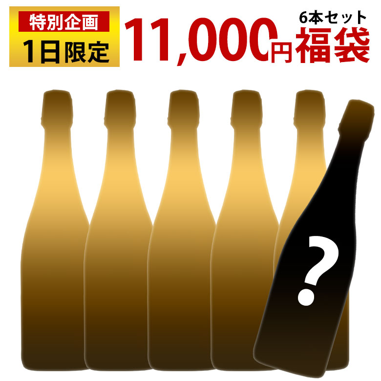 毎月1日限定販売！クレマン11,000円福袋！6本セット ワインセット 送料無料 フランス クレマン ギフト 御中元 750ML おすすめのサムネイル