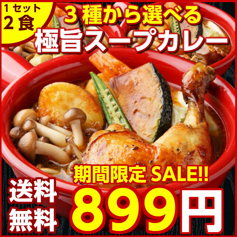 ＼タイムセール開催中！／【送料無料】3種から選べる北海道極旨スパイシー.スープカレー2食. (チキン・角煮・ホタテ)レトルトカレー スパイス 札幌 カレールー ポイント消化 カレー粉 ギフト ご当地グルメ 詰め合わせ B級グルメ 業務用【B】