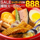 \緊急在庫処分!/賞味期限間近 カレー レトルト【3種から選べる 北海道極旨スパイシー.スープカレー2食.】レトルトカレー スパイス スパイスカレー チキン 角煮 送料無料 食品 セット 詰め合わせ 札幌 訳あり ポイント消化 お取り寄せグルメ【B】