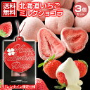 バレンタイン チョコレート プチギフト 【.北海道いちごミルクチョコレート3袋.
