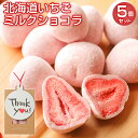 チョコレート プチギフト【.北海道いちごミルクチョコレート5袋.】 個包装 スイ