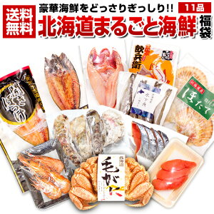 福袋 食品 海鮮 【北海道グルメをどっさり11点以上豪華詰め合わせ .北海道まるごと海鮮福袋10000円セット.】高級 豪華 セット 詰め合わせ プレゼント 贈り物 お取り寄せグルメ 食品 コロナ 復興 支援 簡易包装【M04】