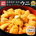 ウニ 塩水 無添加 【最大半額クーポン 北海道産.塩水生エゾバフンウニ100g.】うに 北海道 送料無料 セット 高級 詰め合わせ 雲丹 食品 海鮮 ギフト プレゼント お取り寄せグルメ 贈り物 生うに 生ウニ 塩水うに 塩水ウニ 【FF8】