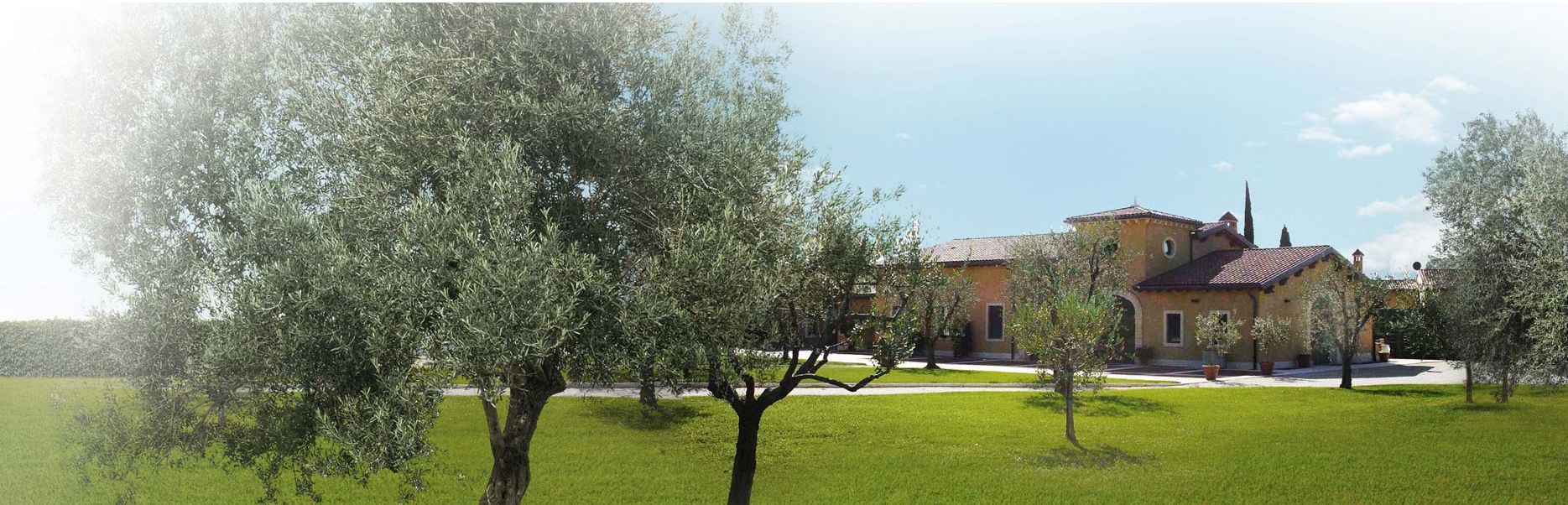 【公式】【最安値挑戦】【お買い得2本セット・送料無料】サルバーニョ・エクストラ バージンオリーブオイル・500ml【賞味期限2026年11月22日】　まろやかで使いやすい人気オイル 3