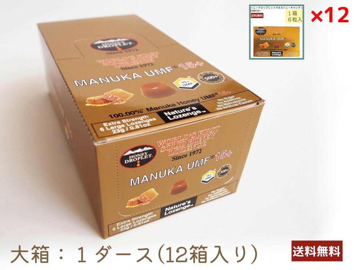 【 お得な3袋セット 】 プロポリス キャンディ オレンジ味 ( 66g × 3袋 ) のど飴 ノンシュガー 砂糖不使用 低カロリー プロポリスキャンディー スッキリ はちみつ 蜂蜜 喉の痛み 花粉症 殺菌 抗菌 感染予防 ウイルス対策 のど 父の日