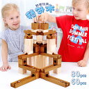 知育玩具 積み木 おもちゃ ビー玉転がし 木製 ブロック 出産祝い 3歳 4歳 5歳 誕生日 立体 パズル 入園 小学生 男の子 女の子 子供 クリスマス プレゼント 指先知育 図形 算数 学習 受験 教育玩具 スロープトイ 無塗装