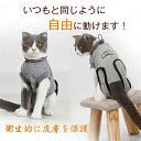 術後服 猫用 ペット術後ウェア 猫 術後服 術後 傷舐め 防止 介護服 引っ掻き防止 避妊術後ケア 去勢手術 キャット 猫用 服 犬用 術後 ウェア 綿 傷 術...