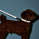 ペティオ (Petio) 犬用首輪 フラッシュソフトカラー SS イエロー
