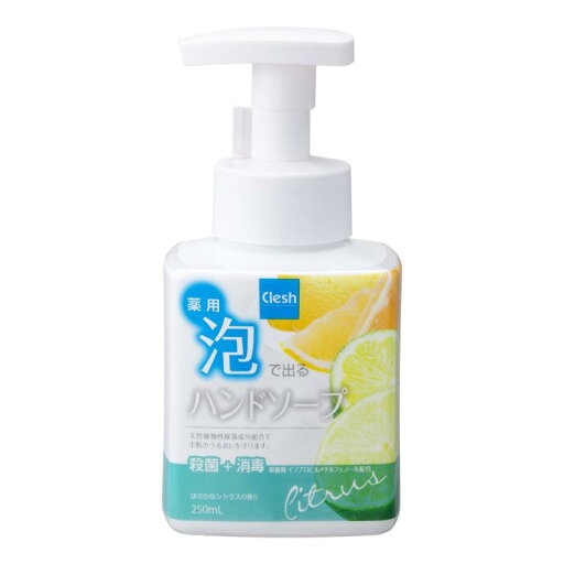 薬用泡で出るハンドソープ 本体 250ML 薬用泡で出るハンドソープ 本体 250ML