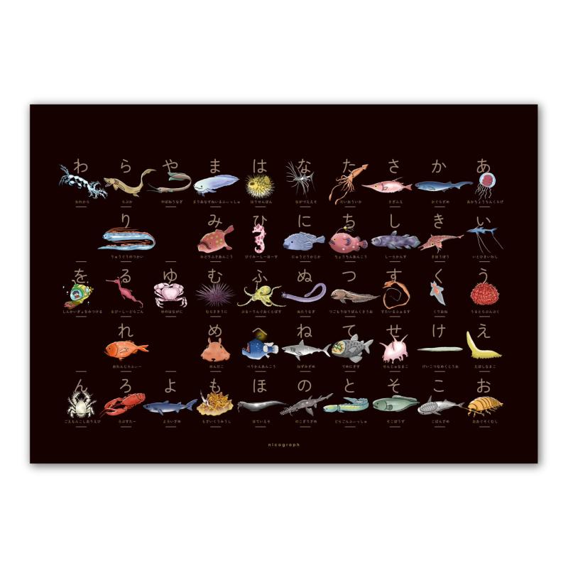 深海魚あいうえお 深海魚のひらがな表 50音表 黒 マグネットハンガー無し こだわりあいうえお 図鑑 クリオネ リュウグウノツカイ ラブカ ヨロイザメ ブラック