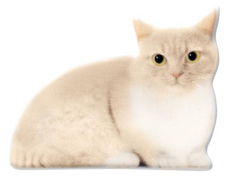 ǥ쥳ݥ졼 Oh, my Cats ꥢ륭åȤ֤ ޥ W4.6 D3.7 H1.4 CA-86404