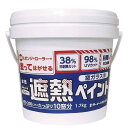 ターナー色彩 窓ガラス用遮熱ペイント 水性 1.7kg クリヤー