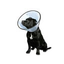 ファンタジーワールド 首輪 VETカラー その他 クリア 小型犬用 S サイズ