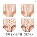 ショーツ レディース 高齢者 高齢者 高齢者用 コットン パンツ 高腰 4枚組 花柄 無地 ゆったり 大きいサイズ 伸縮性 通気性(x3)
