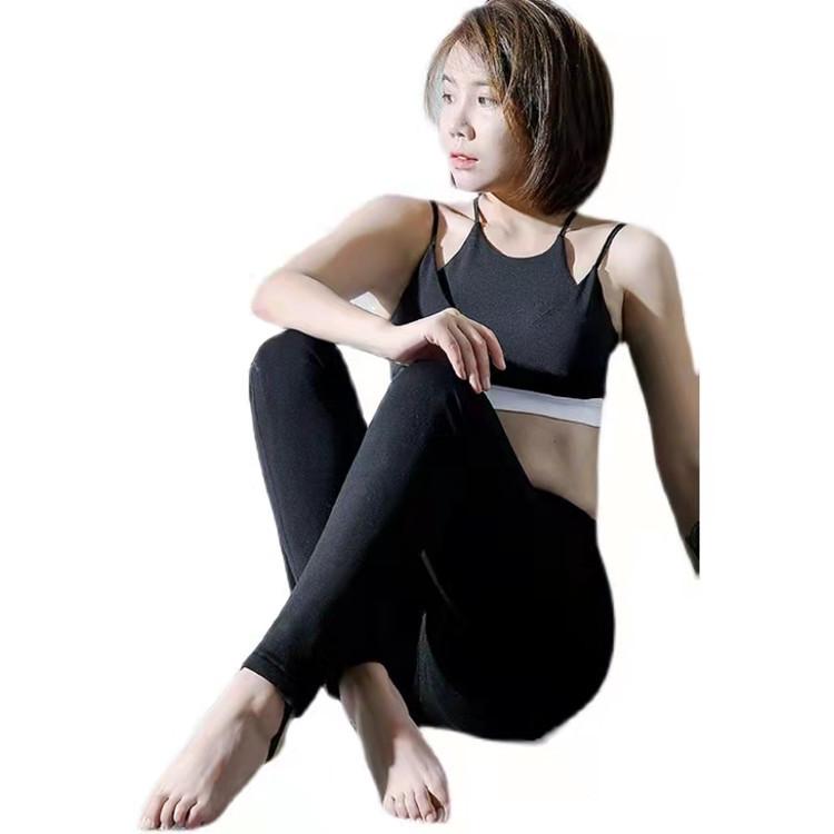 ֥Ӥ㤨֥ѥ ǥ ѥ  ä  Ȥ     (x2פβǤʤ8,628ߤˤʤޤ