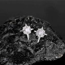 ピアス メンズ 男性用 十字架 北極星 磁石 マグネット イヤーカフ イヤリング 個性的 ヒップホップ風 無痛 ノンホールピアス ブラック ホワイト ジルコニア 合金 電気メッキ加工 星形