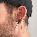 ピアス ユニセックス 黒蜘蛛 イヤリング アニマルモチーフ 電気メッキ加工 プラスチック製 個性的 スイートクール 秋冬(x2)