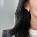 イヤリング レディース 真珠 パール シルバー シルバー グレー 白 ドロップ型 電気メッキ加工 個性 新中式