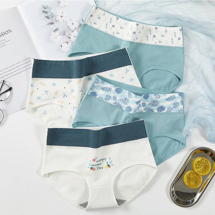 ショーツ レディース かわいい柄 コットン 中高ウエスト 通気性 三角パンツ 白猫 灰猫 カニ 小魚 キノ..