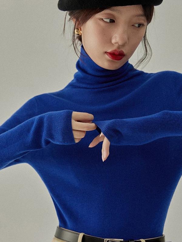 ニット レディース 秋冬 タートルネック ウール トップス 高見え インナー セーター 厚手 ハイネック ..