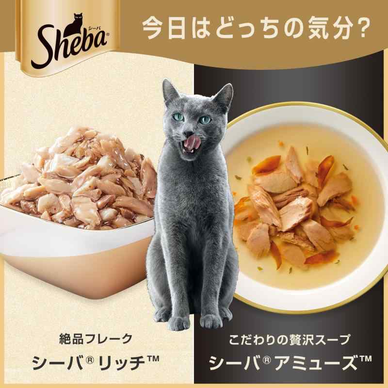シーバ アミューズ お魚スープ 究極の2択 40g×6袋