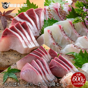 極上 真鯛 ぶり カンパチ 3種 セット 各600g 合計1800g 刺身 2024 ギフト プレゼント 送料無料 お返し 贈答品 年配 お取り寄せ お取りせグルメ おつまみ 食べ物 柵 さく お刺身 刺し身 さしみ 宮崎 海鮮 セット 詰め合わせ 3種 盛り合わせ