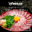 【マラソン期間20%OFF!】\通販の虎出演!虎絶賛!/金太郎ぶり 300g 極上 2024 父の日 ブリ 鰤 刺身 お刺身 刺し身 さしみ 切り身 1 匹 冷凍 解凍 お取り寄せ ギフト プレゼント お返し 贈答品 年配 産地直送 冷蔵 宮崎 海鮮 真空パック