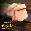 匠が育てた極上のブリ 鰤 刺身 1500g(1.5kg) 刺身はもちろんのこと、照り焼き、ぶり大根、ぶりしゃぶなど数々の料理におすすめです。