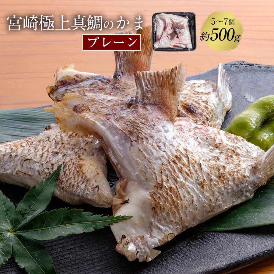 匠が育てた極上の鯛 タイ たい 鯛カマ約500g（5～7個入り） 2024 ギフト プレゼント お返し 贈答品 年配 食品 食品 お取りせグルメ おつまみ 食べ物 照り焼き カマ塩焼きおつまみ アテ おかず 塩焼き 照り焼き　タイカマ