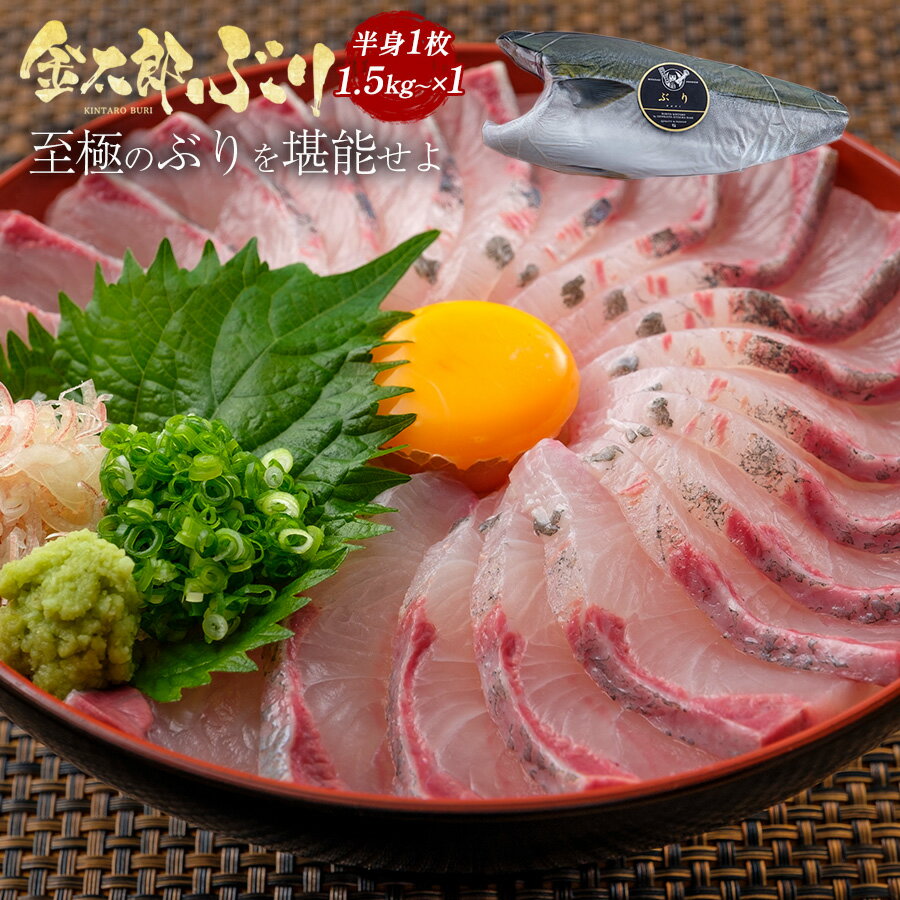 【お中元早割30%OFF】金太郎ぶり 鰤 フィレ1.5kg～半身 1枚 極上 2024 父の日 ブリ 鰤 刺身 お刺身 刺し身 さしみ 切り身 1 匹 冷凍 解凍 お取り寄せ ギフト プレゼント 送料無料 お返し 贈答…