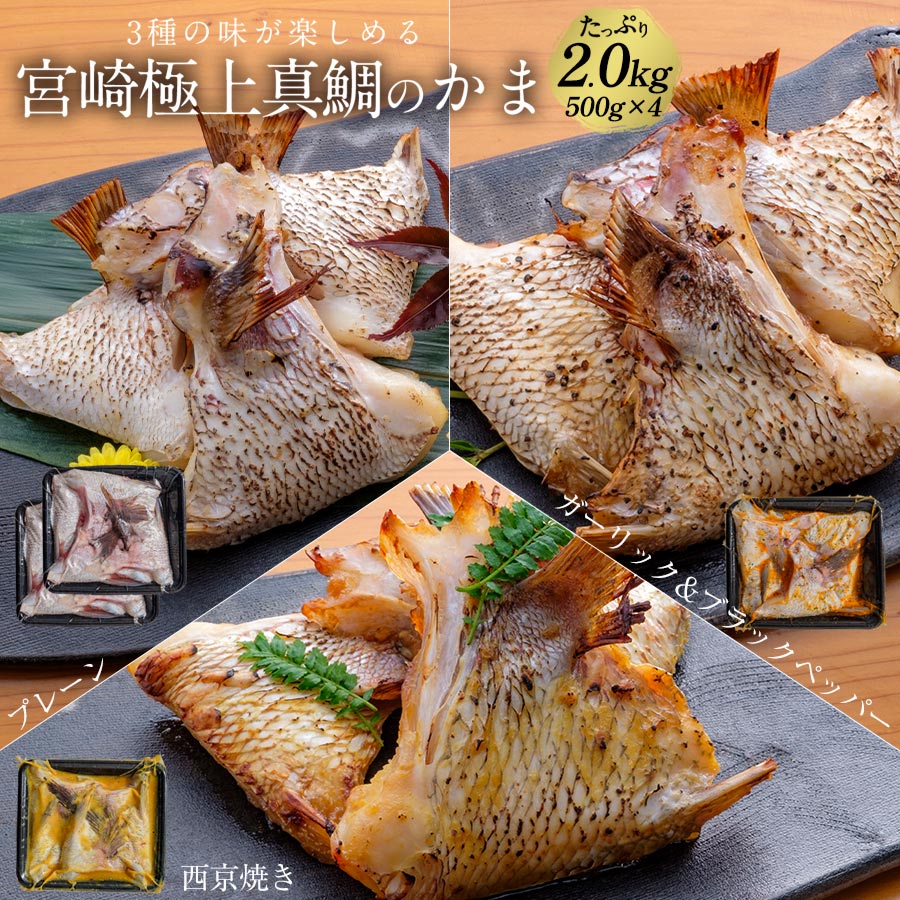 名称 真鯛 内容量 鯛カマ3種類の味 500g×4 【味付け無し、西京焼き、ガーリック&ブラックペッパー】 水揚 宮崎県 加工 宮崎県延岡市北浦町古江鶴山2931-36 消費期限 冷凍：出荷日より90日 調理方法 塩焼き、照り焼き、唐揚げ等 保存方法 冷凍 運送方法 佐川急便クール便、またはヤマト運輸クール便 お届け日 ご注文から4営業日以降のご指定可能です。 備考 お正月・年末分・お歳暮用につきましては、お早めのご注文をおすすめします。 ご利用シーン 魚メニュー 寿司 手巻き寿司 ちらし寿司 焼き魚 煮魚 煮つけ 照り焼き フライ しゃぶしゃぶ 揚げ物 お弁当 おかず もう一品 夕食 晩酌 おつまみ あて お通し サラダ カルパッチョ アヒージョ アクアパッツァ パーティー 女子会 家飲み 宅飲み 簡単調理 お取り寄せ グルメ おすすめ ランキング 常連 グルメ 和食 洋食 和風 洋風 アレンジ 様々な贈り物にもご利用いただけます 御正月 初荷 御年賀 お年賀 御年始 花見 母の日ギフト プレゼント 父の日ギフト プレゼント 初盆 ギフト ハロウィン 寒中お見舞 クリスマスプレゼント 年越し 年末 春夏秋冬 帰省土産 春グルメ 夏グルメ 秋グルメ 冬グルメ 御見舞 快気 志 進物 お土産 BBQ バーベキュー 帰省土産 バレンタインデー バレンタインデイ ホワイトデー ホワイトデイ ひな祭り ギフト プレゼント 御礼 お礼 謝礼 御返し お返し お祝い返し 御見舞御礼 遅れてごめんね おくれてごめんねお父さん 兄弟 姉妹 子供 奥さん 彼女 旦那さん 彼氏 先生 職場 先輩 後輩 同僚 61歳 還暦（かんれき） 還暦御祝い 還暦祝 祝還暦 華甲（かこう）出産御祝 新築祝い 新築内祝い 祝御新築 祝御誕生日 誕生日 バースディ 御供 お供え物 粗供養 御仏前 御佛前 御霊前 香典返し 法要 仏事 新盆 新盆見舞い 法事引き出物 法事引出物 年回忌法要 一周忌 三回忌 七回忌 十三回忌 十七回忌 二十三回忌 二十七回忌 御膳料 御布施 御開店祝 開店御祝い 御開業祝 来客 お茶請け 御茶請け 粗菓 おもたせ 菓子折り 心ばかり 開院祝い 当店の取り扱い商品・ご用途・検索用ワード ブリ 鰤 ぶりしゃぶ ブリしゃぶ 刺し身 刺身 サシミ 骨無し 骨抜き 冷凍 冷蔵 チルド クール 一本 1本 一匹 1匹 ぶり たたき ブリ タタキ ふるさと納税 ふるさと 小分け ブリ 1 匹 切り身 指定 養殖 ぶり 漬け丼 ブリ 漬け ぶり 骨抜き ぶりたたき 鰤しゃぶ ぶりしゃぶ お取り寄せ ぶりしゃぶ 取り寄せ 金太郎ぶぶり 新海屋 金太郎ぶり 通販の虎 金太郎鰤 カンパチ 出世魚 1kg 10kg (お問い合わせください) 1尾 kg 真鯛 切り身 マダイ 真鯛 ぶりかま ブリカマ その他、気になる点はお問い合わせください。 季節のご挨拶に お正月 賀正 新年 新春 初売 年賀 成人式 成人祝 節分 バレンタイン ひな祭り 卒業式卒業祝い 入学式 入学祝い お花見 ゴールデンウィーク GW こどもの日 端午の節句 母の日 母の日ギフト お母さん ママ 父の日 お父さん パパ 七夕初盆 お盆 御中元 お中元 お彼岸 残暑御見舞 残暑見舞い 敬老の日 おじいちゃん 祖父 おばあちゃん 祖母 寒中お見舞い クリスマス お歳暮 御歳暮 日常の贈り物に お見舞い 退院祝い 全快祝い 快気祝い 快気内祝い 御挨拶 ごあいさつ 引越しご挨拶 引っ越し お宮参り御祝 合格祝い 進学内祝い 成人式 御成人御祝 卒業記念品 卒業祝い 御卒業御祝 入学祝い 入学内祝い 小学校 中学校 高校 大学 就職祝い 社会人 幼稚園 入園内祝い 御入園御祝 お祝い 御祝い 内祝い 金婚式御祝 銀婚式御祝 御結婚お祝い ご結婚御祝い 御結婚御祝 結婚祝い 結婚内祝い 結婚式 引き出物 引出物 引き菓子 御出産御祝 ご出産御祝い 出産御祝 出産祝い 出産内祝い 御新築祝 新築御祝 新築内祝い 祝御新築 祝御誕生日 バースデー バースデイ バースディ 七五三御祝 753 初節句御祝 節句 昇進祝い 昇格祝い 就任 お供え 法事 供養 法人・企業様に 開店祝い 開店お祝い 開業祝い 周年記念 異動 栄転 転勤 退職 定年退職 挨拶回り 転職 お餞別 贈答品 景品 コンペ 粗品 手土産 寸志 歓迎 新歓 送迎 歓送迎 新年会 二次会 忘年会 記念品 他店舗・他商品との違い 黒瀬ぶり ブリ 養殖 長島 尾鷲 ぶり カンパチ 鹿児島 鹿児島 垂水 カンパチ 等とは異なり、宮崎県の潮流の早い好漁場で育てたブランド ぶりです。また、人気youtube番組 『 令和の虎 〜Tiger Funding 』のフランチャイズである『 通販版 〜 TigerFunding 』でに出演。 ヒカル さんも絶賛したブランド鰤を扱っております。ふるさと納税での取り扱いもございます。