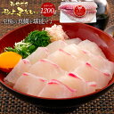 極上まだい 鯛 1200g 2024 ギフト プレゼント 送料無料 お返し 贈答品 お取り寄せ お取りせグルメ タイ たい 真鯛 柵 さく お刺身 刺し身 さし...
