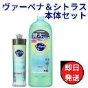 【まとめ買い】キュキュット RelaxDays(リラックスデイズ) 食器用洗剤 ヴァーベナ シトラスの香り 本体 240ml 詰め替え770ml天然精油配合 シトラス お値打ち 在庫限り ペパーグリーン