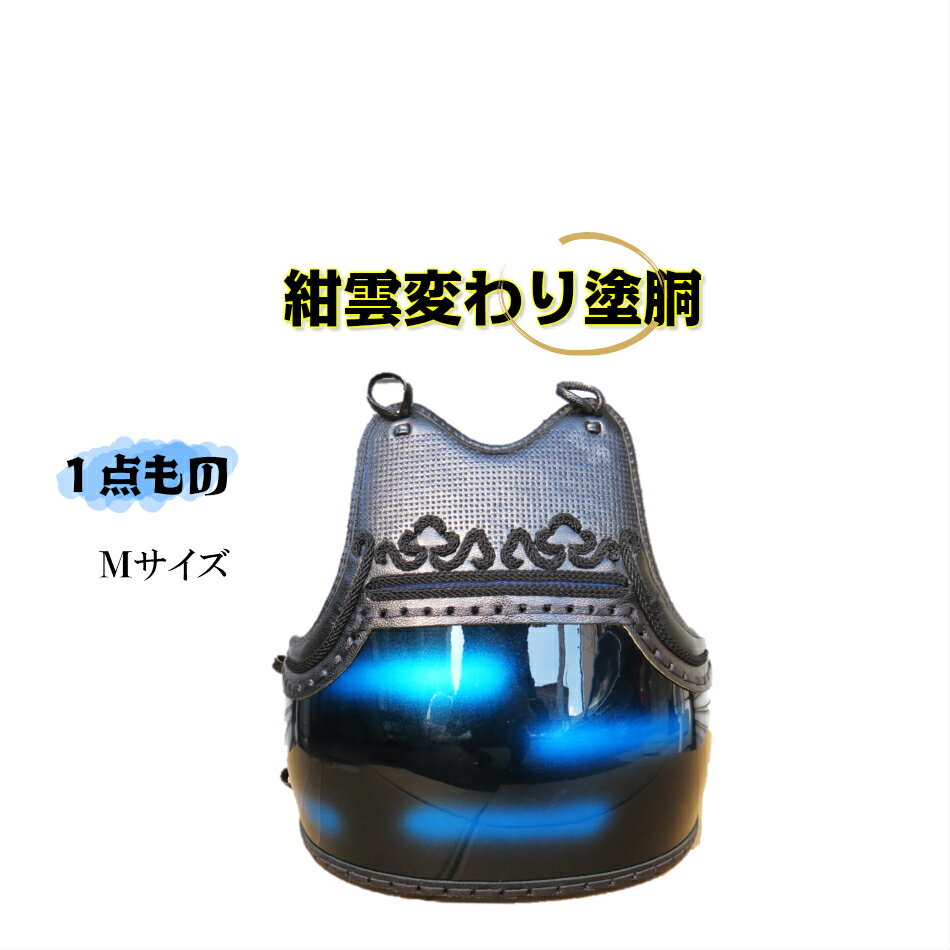 【送料無料】　剣道防具　胴　どう　紺雲塗胴・鬼雲飾り　紺刺し　樹脂胴　紺胴紐付　替え胴　Mサイズのみ