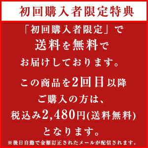 【初回限定】 花の露キッチンボトル アカシアはちみつ 健康補助食品 中国産 500g×2本