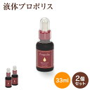 【ポイント10倍※要エントリー】液体プロポリス33ml×2個セット【送料無料】 ブラジル 健康 ビタミン ミネラル 乳酸菌 のど 喉 良質