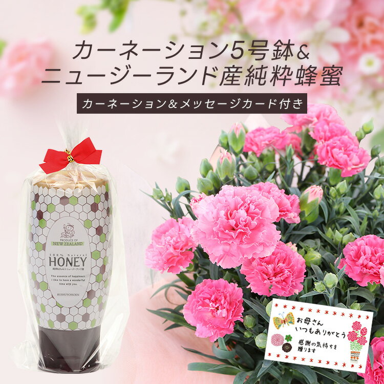 予約販売受付中 3月31日まで早期割引10%off 4257円【送料無料　配達地域: 本州限定】母の日ギフト 2種のカラーから選べる カーネーション5号鉢＆ニュージーランド産純粋蜂蜜500g 　メッセージカード付　ご注文受付期間は5月7日12:00まで！母の日 プレゼント 鉢植え はちみつ