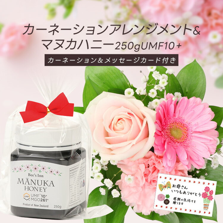 予約販売受付中 ★3/1～3/31 まで早期割引10%OFF 価格 4347円 送料無料【送料無料 配達地域: 本州限定】母の日ギフト4種のカラーから選べる マグカップ入りカーネーションアレンジメント&マヌカハニー250g UMF10＋ メッセージカード ご注文受付期間は5月7日12:00まで 母