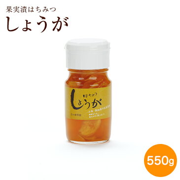 果実漬はちみつ しょうが 健康補助食材 550g