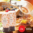ハンガリー産 純粋アカシア 蜂蜜 500g×2本 スタンドボトル ハンガリー はちみつ 蜂蜜 アカシア ハチミツ 純粋はちみつ アカシアはちみつ 使いやすい 結晶しにくい 固まりにくい パン トースト はちみつ通販 低GI 純粋蜂蜜 販売 あかしやはちみつ アカシアハチミツ ハニー