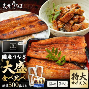 武州うなぎ 大盛食べ比べセット 計500g以上 国産 うなぎ お歳暮 真空パック 冷凍 蒲焼 半身 刻み 特大 お徳用 贈答用 詰め合わせ 鰻 家庭用 国産ウナギ ギフト ひつまぶし 川越 ウナギ 埼玉 川越 誕生日プレゼント うなぎの蒲焼き レンジ うな重 東松山